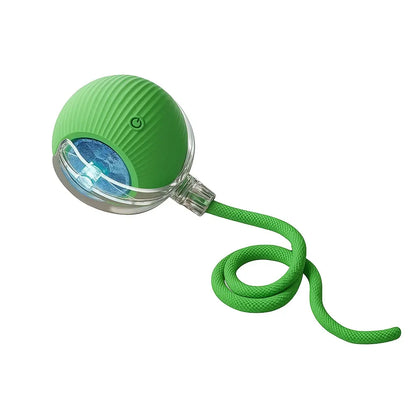 Interactive Cat & Dog Teaser Toy – Rolling Ball with 2 Bonus Tails for Endless Playtime