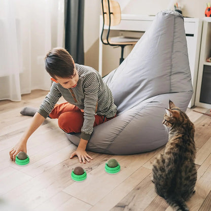 Catnip & Silvervine Dental Chew Balls for Cats – 4-Pack Energy Toy for Active Kittens