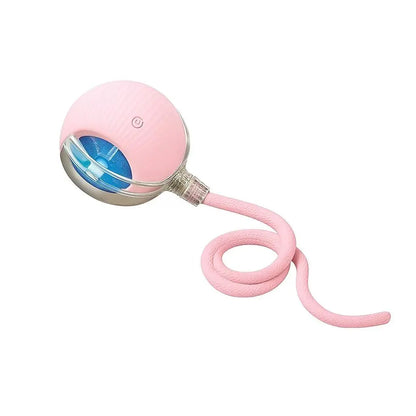 Interactive Cat & Dog Teaser Toy – Rolling Ball with 2 Bonus Tails for Endless Playtime