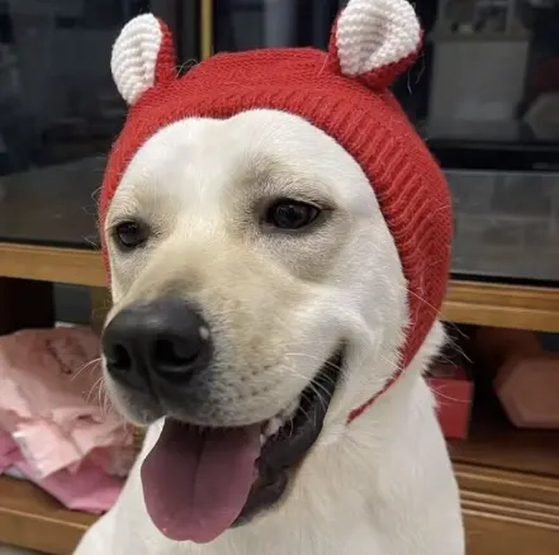 Dog Ear Muffs & Winter Hat – Noise Protection & Warmth for Medium to Large Dogs