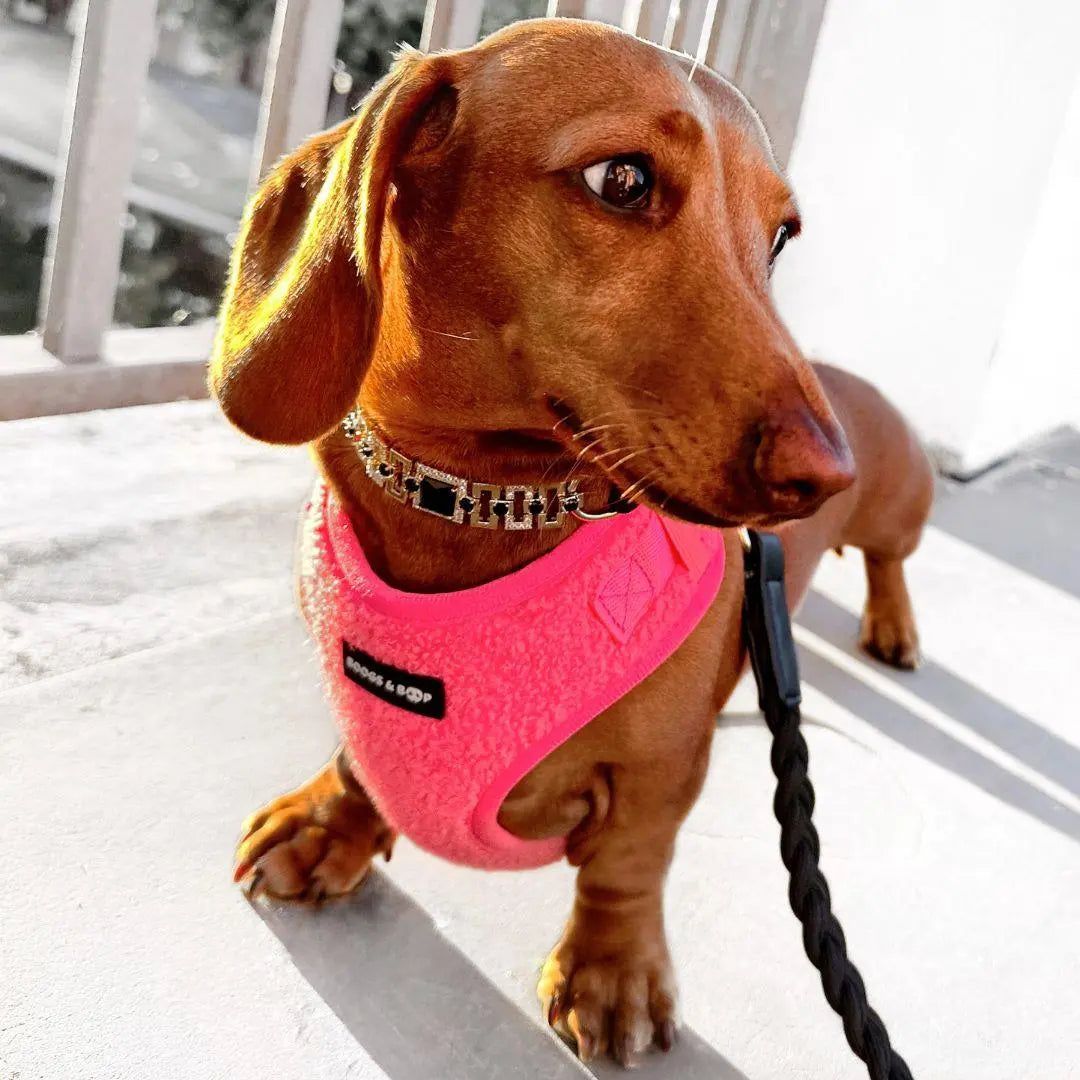 Adjustable Teddy Fabric Dog Harness – Soft & Stylish Fluorescent Pink for Small Dogs