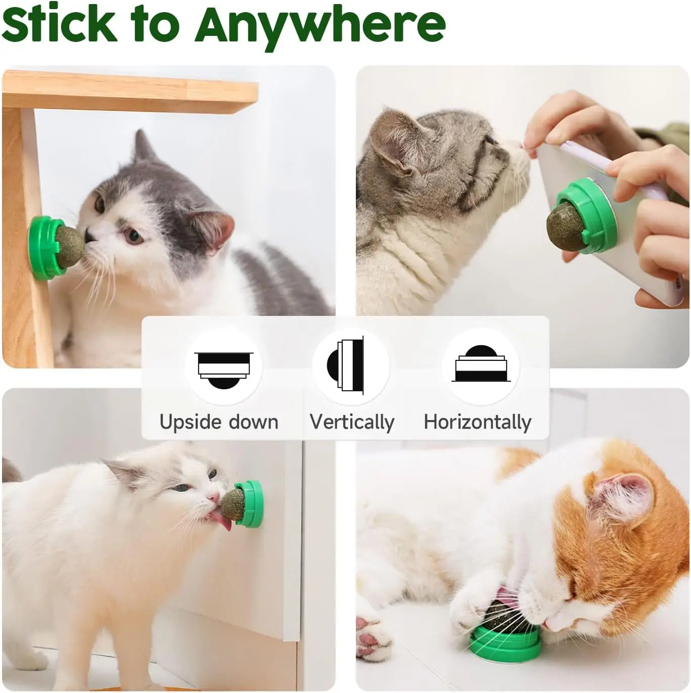 Catnip & Silvervine Dental Chew Balls for Cats – 4-Pack Energy Toy for Active Kittens