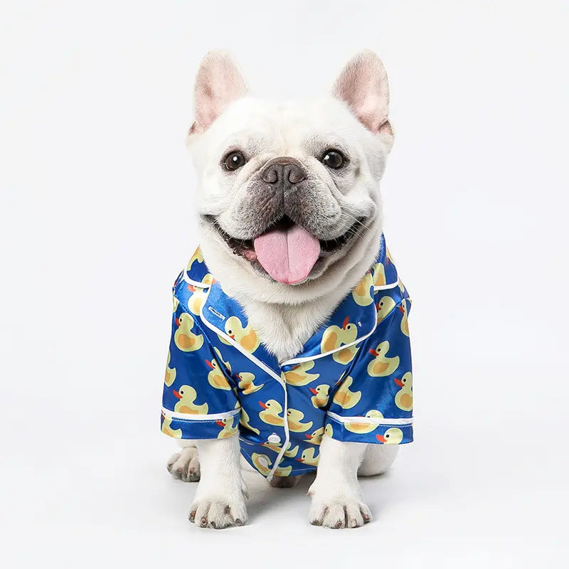Cozy Autumn & Winter Pet Jacket – Warm Stylish Outfit for Dogs & Cats