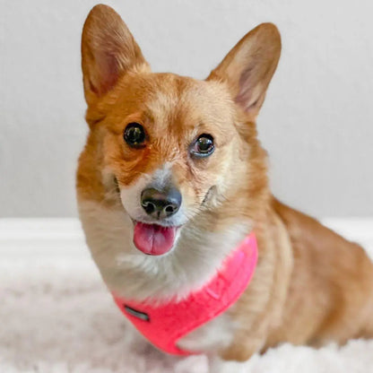 Adjustable Teddy Fabric Dog Harness – Soft & Stylish Fluorescent Pink for Small Dogs