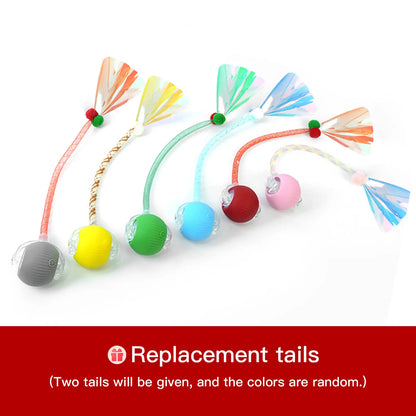 Interactive Cat & Dog Teaser Toy – Rolling Ball with 2 Bonus Tails for Endless Playtime