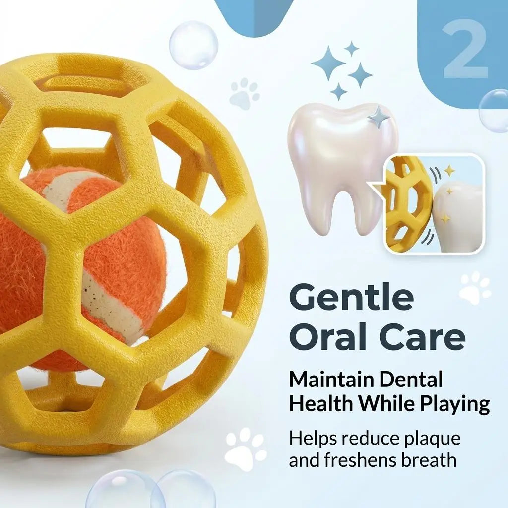3-Pack Interactive Fetch & Dental Chew Balls for Dogs – Floating TPR Hollow Balls with Tennis Core