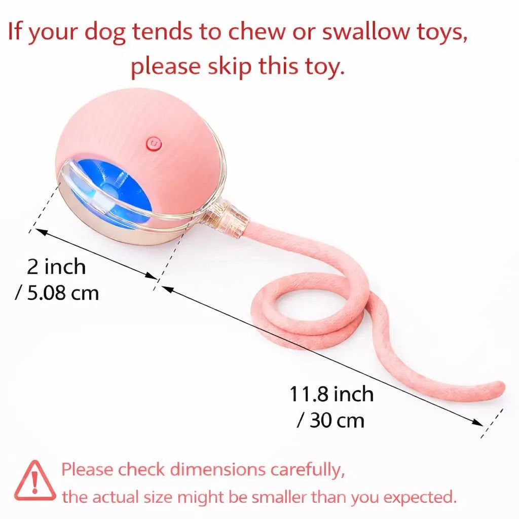 Interactive Cat & Dog Teaser Toy – Rolling Ball with 2 Bonus Tails for Endless Playtime