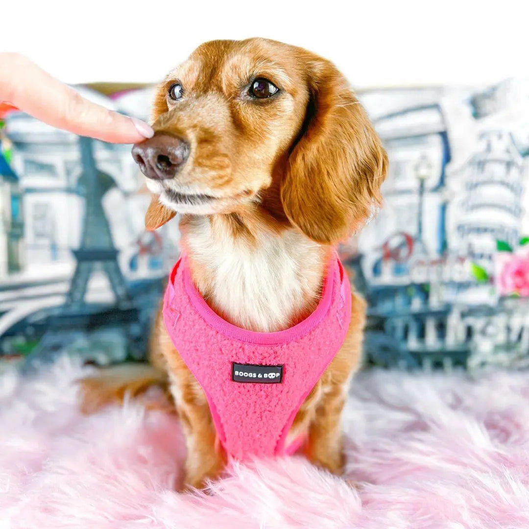 Adjustable Teddy Fabric Dog Harness – Soft & Stylish Fluorescent Pink for Small Dogs