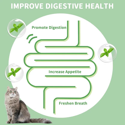 Catnip & Silvervine Dental Chew Balls for Cats – 4-Pack Energy Toy for Active Kittens