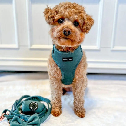 Adjustable Corduroy Dog Harness – Soft Textured Moss Green for Small to Medium Dogs