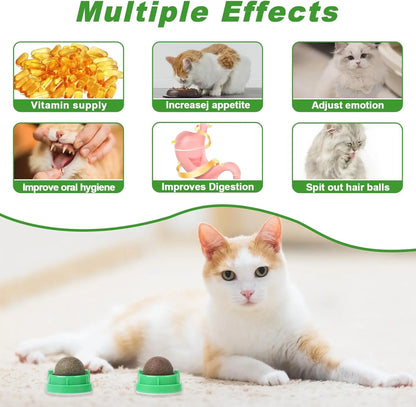 Catnip & Silvervine Dental Chew Balls for Cats – 4-Pack Energy Toy for Active Kittens