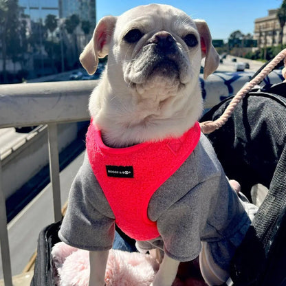 Adjustable Teddy Fabric Dog Harness – Soft & Stylish Fluorescent Pink for Small Dogs