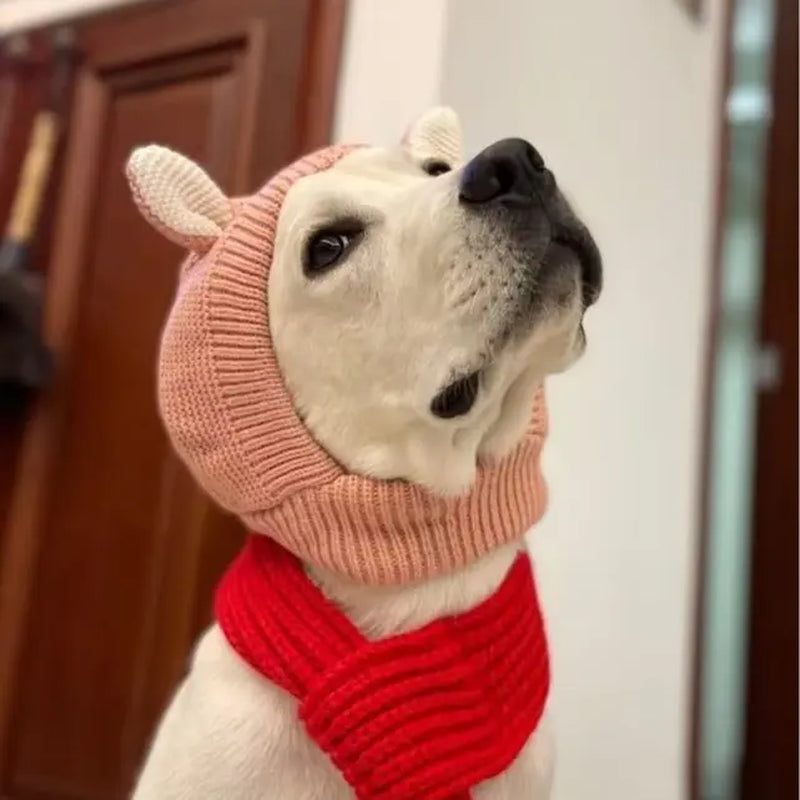 Dog Ear Muffs & Winter Hat – Noise Protection & Warmth for Medium to Large Dogs