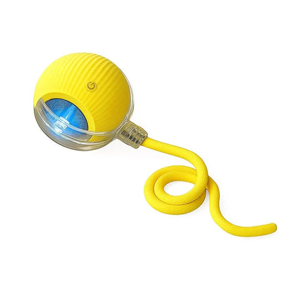 Interactive Cat & Dog Teaser Toy – Rolling Ball with 2 Bonus Tails for Endless Playtime